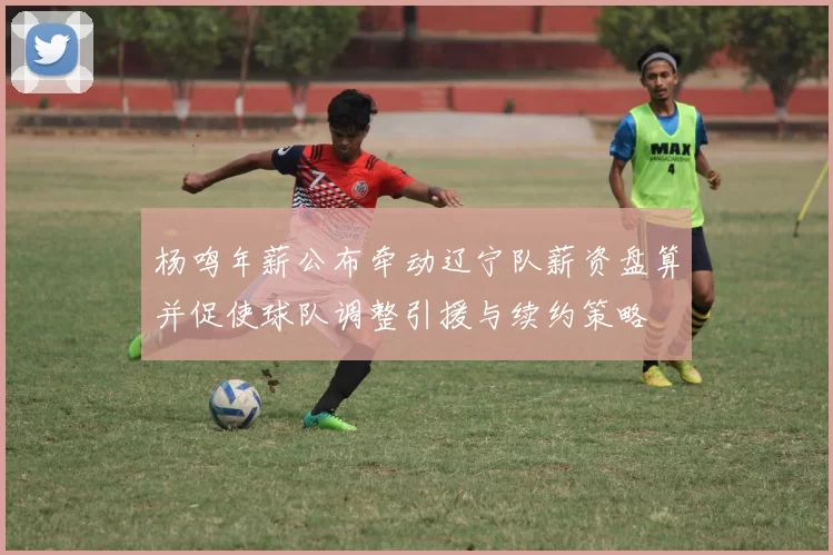 杨鸣年薪公布牵动辽宁队薪资盘算并促使球队调整引援与续约策略